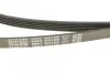 Ремень приводной поликлиновый DAYCO 5PK1500 (фото 4)