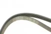 Ремень приводной поликлиновый Dayco DAYCO 5PK2060 (фото 3)