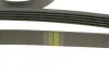 Ремень приводной поликлиновый Dayco DAYCO 5PK2060 (фото 4)
