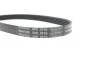 Ремень приводной поликлиновый Dayco DAYCO 5PK716EE (фото 4)
