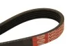 Ремень приводной поликлиновый Dayco DAYCO 5PK800 (фото 2)