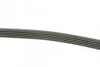 Ремень приводной поликлиновый Dayco DAYCO 5PK810 (фото 2)