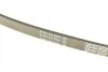 Ремень приводной поликлиновый Dayco DAYCO 5PK810 (фото 3)