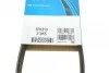 Ремень приводной поликлиновый Dayco DAYCO 5PK810 (фото 6)