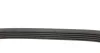 Ремень приводной поликлиновый DAYCO 5PK890 (фото 4)