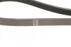 Ремень приводной поликлиновый DAYCO 5PK926EE (фото 2)