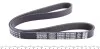 Ремень приводной поликлиновый Dayco DAYCO 6PK1029EE (фото 2)
