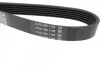 Ремень приводной поликлиновый DAYCO 6PK1035 (фото 2)
