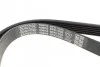 Ремень приводной поликлиновый DAYCO 6PK1035 (фото 3)