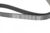 Ремень приводной поликлиновый DAYCO 6PK1040 (фото 4)
