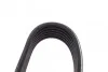 Ремень приводной поликлиновый Dayco DAYCO 6PK1045 (фото 2)
