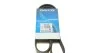 Ремінь П-клиновий Dayco DAYCO 6PK1082 (фото 1)