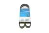 Ремень приводной поликлиновый Dayco DAYCO 6PK1100 (фото 1)