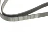 Ремень приводной поликлиновый Dayco DAYCO 6PK1100 (фото 4)