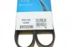 Ремень приводной поликлиновый Dayco DAYCO 6PK1100 (фото 6)