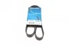 Ремень приводной поликлиновый Dayco DAYCO 6PK1105 (фото 1)