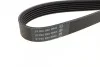 Ремень приводной поликлиновый Dayco DAYCO 6PK1105 (фото 2)