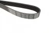 Ремень приводной поликлиновый Dayco DAYCO 6PK1105 (фото 3)