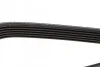 Ремень приводной поликлиновый Dayco DAYCO 6PK1105 (фото 4)
