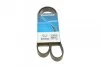 Ремень приводной поликлиновый Dayco DAYCO 6PK1115 (фото 1)