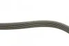 Ремень приводной поликлиновый Dayco DAYCO 6PK1115 (фото 2)