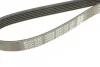 Ремень приводной поликлиновый Dayco DAYCO 6PK1115 (фото 4)