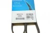 Ремень приводной поликлиновый Dayco DAYCO 6PK1115 (фото 6)