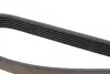 Ремень приводной поликлиновый DAYCO 6PK1125 (фото 3)