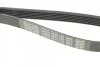 Ремінь приводний полікліновий Dayco DAYCO 6PK1130 (фото 5)