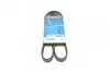 Ремень приводной поликлиновый Dayco DAYCO 6PK1137 (фото 1)