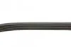 Ремень приводной поликлиновый Dayco DAYCO 6PK1137 (фото 2)