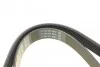 Ремень приводной поликлиновый Dayco DAYCO 6PK1137 (фото 3)