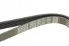 Ремень приводной поликлиновый Dayco DAYCO 6PK1137 (фото 4)