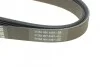 Ремень приводной поликлиновый Dayco DAYCO 6PK1145 (фото 3)