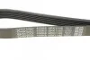 Ремень приводной поликлиновый Dayco DAYCO 6PK1145 (фото 4)