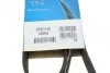 Ремень приводной поликлиновый Dayco DAYCO 6PK1145 (фото 6)