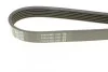 Ремень приводной поликлиновый DAYCO 6PK1150 (фото 3)