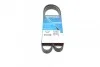 Ремень приводной поликлиновый 6PK1155 Dayco
