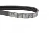 Ремень приводной поликлиновый DAYCO 6PK1155 (фото 2)