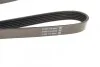 Ремень приводной поликлиновый Dayco DAYCO 6PK1160 (фото 2)