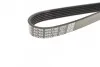 Ремень приводной поликлиновый Dayco DAYCO 6PK1160 (фото 3)