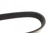 Ремень приводной поликлиновый Dayco DAYCO 6PK1160 (фото 4)