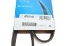 Ремень приводной поликлиновый Dayco DAYCO 6PK1160 (фото 6)