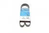 Ремінь П-клиновий Dayco DAYCO 6PK1165 (фото 1)