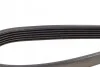Ремінь П-клиновий Dayco DAYCO 6PK1165 (фото 3)
