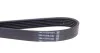 Ремень приводной поликлиновый Dayco DAYCO 6PK1173 (фото 2)