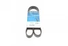 Ремень приводной поликлиновый Dayco DAYCO 6PK1185 (фото 1)