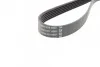 Ремень приводной поликлиновый Dayco DAYCO 6PK1185 (фото 2)