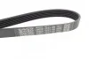 Ремень приводной поликлиновый Dayco DAYCO 6PK1185 (фото 3)