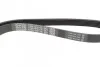 Ремень приводной поликлиновый Dayco DAYCO 6PK1195 (фото 2)